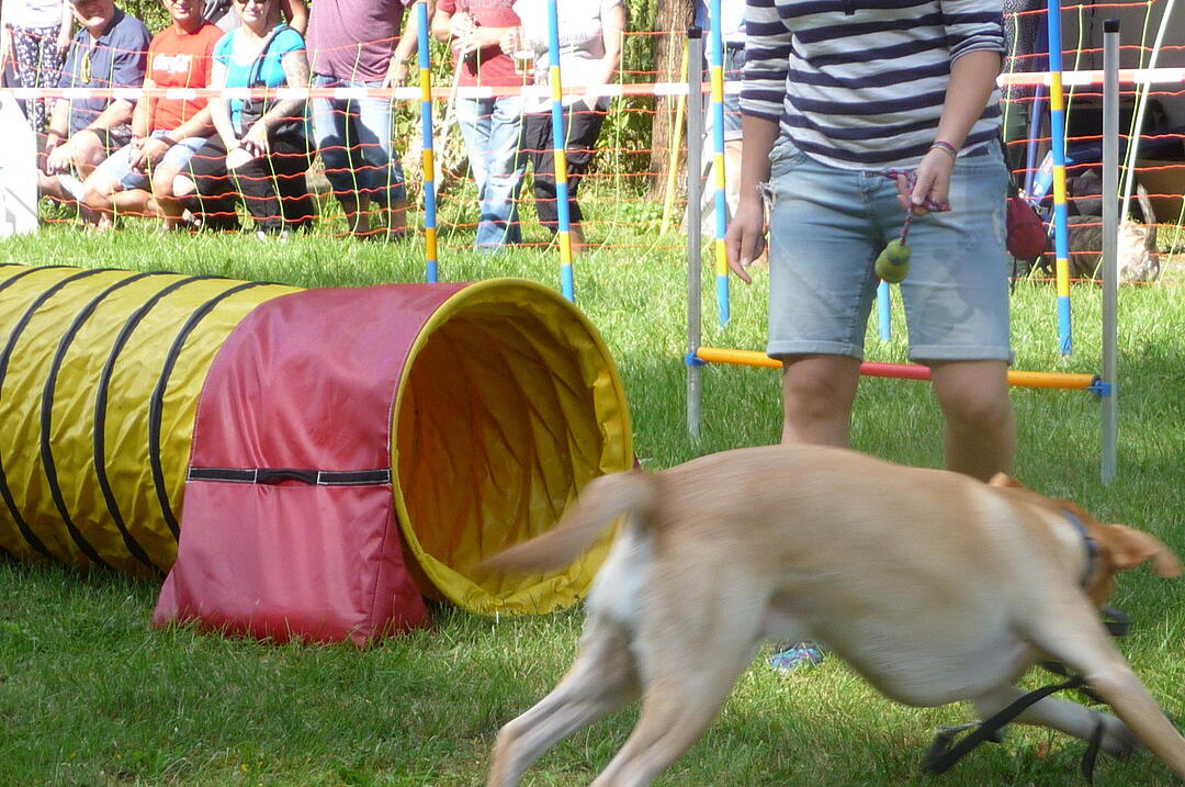 19.8.2017 Tierheimfest Kulmbach