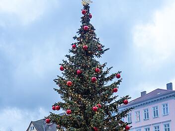 Coburg: Vorbereitung auf Weihnachtsmarkt - Stadt sucht 15 und 10 Meter Baum