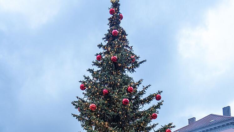 Coburg: Vorbereitung auf Weihnachtsmarkt - Stadt sucht 15 und 10 Meter Baum