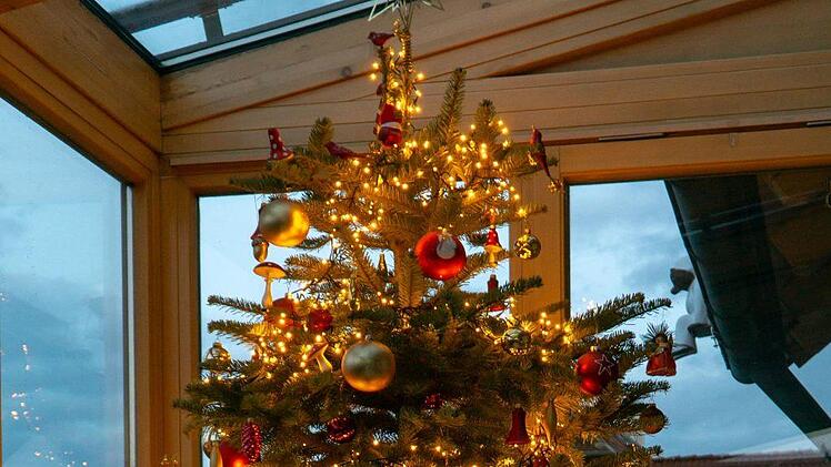 Der Christbaum "Baum der 1000 Lichter" von Monika Schmitt aus Bischberg