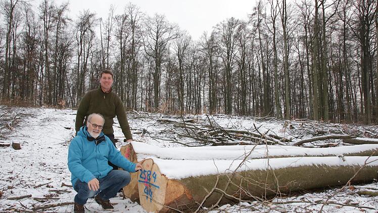 Eindrücke von den künftigen Windrad-Standorten im Sulzthaler Wald. Foto: Ralf Ruppert