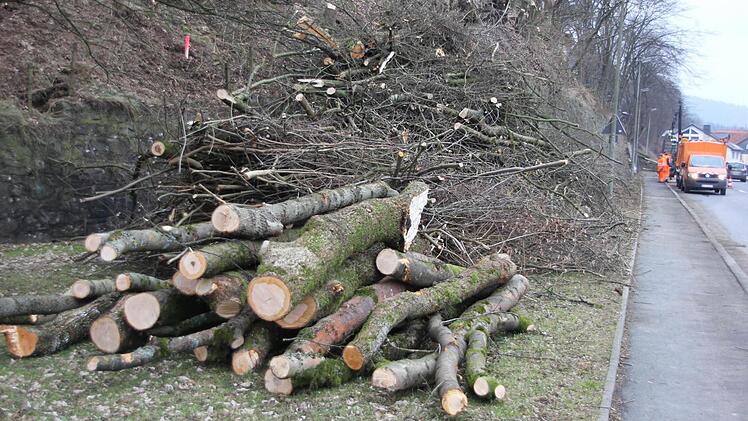 Mehrere Haufen mit Abschnitten und Kronenmaterial lagerten an der Staatsstraße in Steinberg.  Foto: Friedwald Schedel