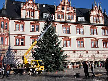 Prachtexemplar: eine 13 Meter Blaufichte wird in diesem Jahr den Coburger Weihnachtsmarkt schmücken. Aufgestellt und geschmückt wurde der Baum am Montag. Foto: Jochen Berger