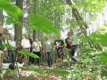 Wie der Verbiss im Wald reduziert werden kann, erl&auml;uterte Michael Bug vom Forstamt Bamberg anhand von Postern.  Foto: Sebastian Schanz