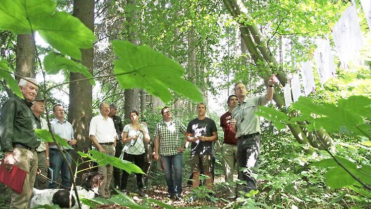 Wie der Verbiss im Wald reduziert werden kann, erl&auml;uterte Michael Bug vom Forstamt Bamberg anhand von Postern.  Foto: Sebastian Schanz