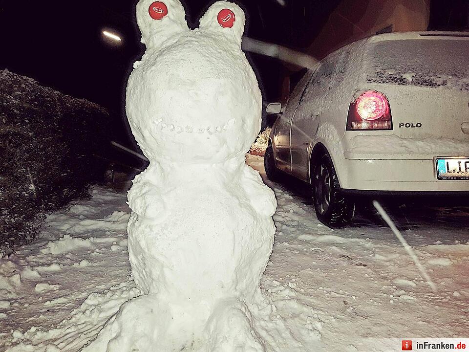 Eis und Schnee in Franken - die schönsten Winterleserfotos