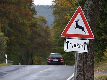 Warnschild vor Wildwechsel