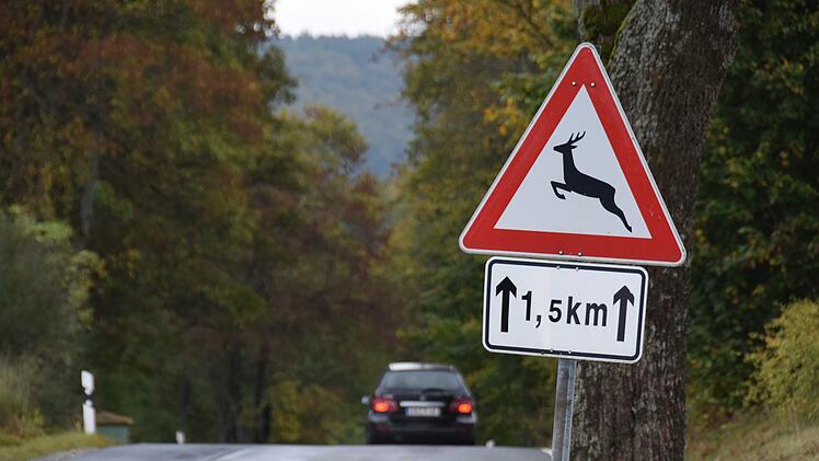 Warnschild vor Wildwechsel