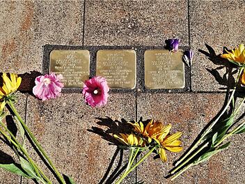Drei Stolpersteine für die Familie Goldschmidt wurden vor ihrem früheren Wohnhaus Unterhainstraße 25 verlegt. Sigismund von Dobschütz