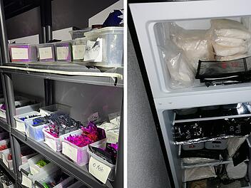 Kiloweise Crystal, Kokain und Heroin - Bamberger Ermittler legen Drogenring das Handwerk