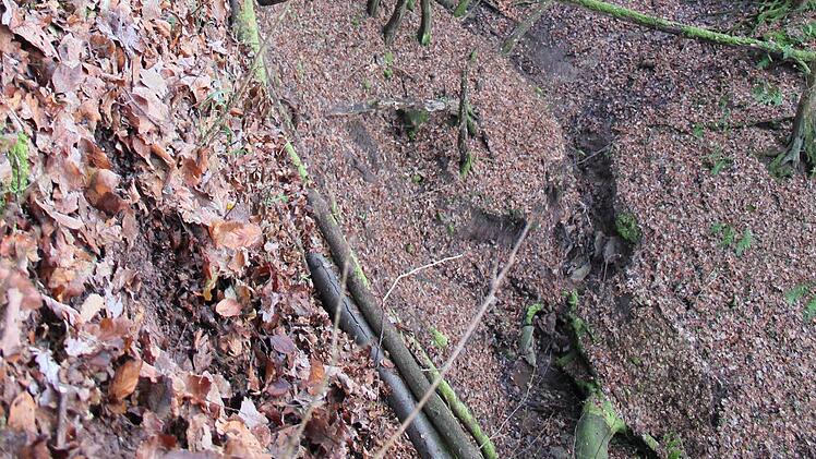 Der Fundort: Die Rentnerin lag auf dem Grund der Schlucht in dem Bach.