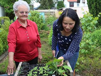 BR-Redakteurin Dagmar Besand zu Besuch bei Annemarie Heidenreich (links). Die 72-Jährige hat zwei grüne Daumen und sorgt in ihrer Pflanzen-Kinderstube stets für Nachwuchs in den Beeten. Foto: Barbara Herbst