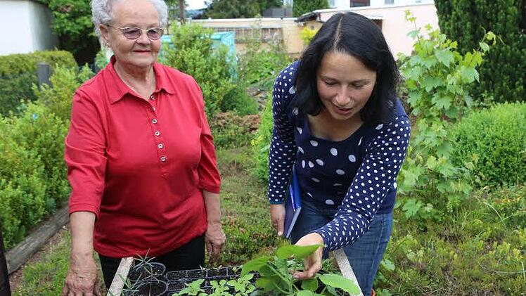 BR-Redakteurin Dagmar Besand zu Besuch bei Annemarie Heidenreich (links). Die 72-Jährige hat zwei grüne Daumen und sorgt in ihrer Pflanzen-Kinderstube stets für Nachwuchs in den Beeten. Foto: Barbara Herbst