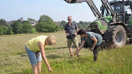 Veronika Kestel (rechts) zeigt Dietrich Förster und Bürgermeisterin Gabriele Weber einige beim Mähen entdeckte Arnikablüten. Um diese fährt der Mähtraktor weiträumig herum, um Beschädigungen oder gar das Abmähen zu vermeiden. Die Restrasenfläche wird nach der Samenreife der Heilpflanze im August gemäht. Im Hintergrund ist die Mariä Himmelfahrt-Kirche von Teuschnitz zu sehen.  Foto: Karl-Heinz Hofmann