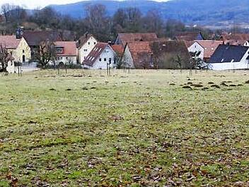 Hier will ein Unternehmer eine Lagerhalle errichten.  Foto: Josef Hofbauer