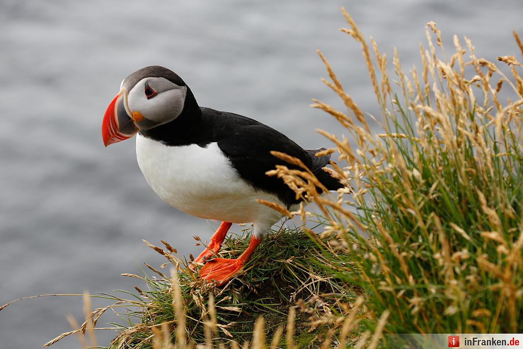 Bilder aus Island