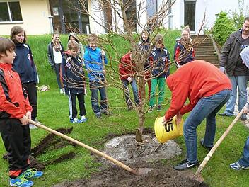 Die Mädchen und Buben des Jugendrotkreuzes Haßberge betätigten sich bei ihrem Kreiswettbewerb als Klimahelfer. Gemeinsam wurde im Garten des Rot-Kreuz-Hauses in Haßfurt ein Baum als Symbol für den Umweltschutz gepflanzt.  Foto: Michael Will