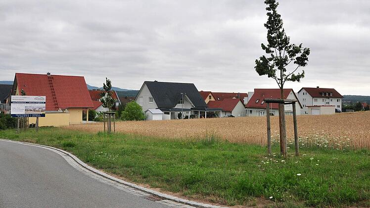 Der Gemeinderat Theres hat beschlossen, bei der Erschließung von 16 Bauplätzen im Baugebiet "Sauleite" (im Bild) mit einem Erschließungsträger zusammen zu arbeiten.  Foto: Ulrike Langer