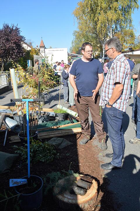 Holztag Scheinfeld 2017