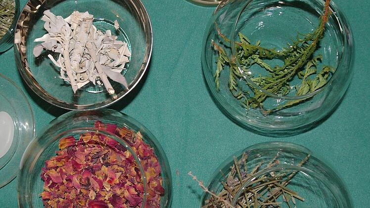 Weißer Salbei (oben links), Thuja (oben rechts), Rose (unten links) und Lavendel. Foto: Stephanie Elm