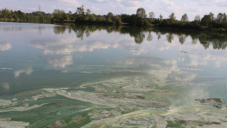 Die Blaualgen sehen nicht nur unsch&ouml;n aus, sie riechen auch unangenehm. Foto: Sonny Adam