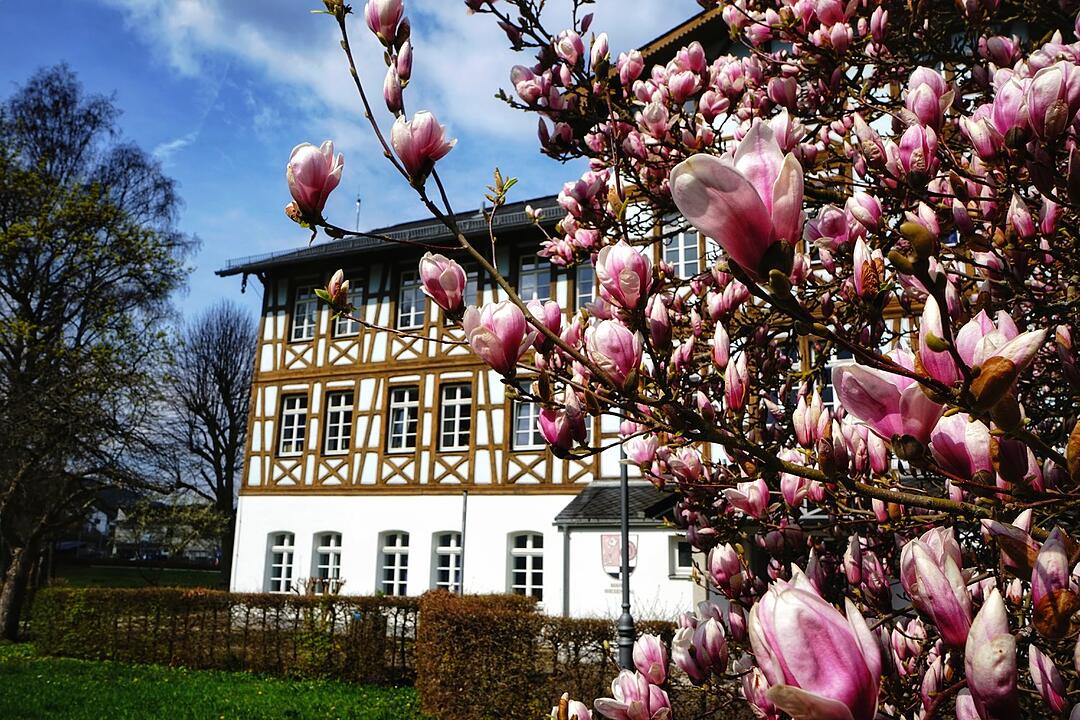 Die schönsten Frühlingsfotos aus Forchheim und Umgebung