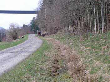 Der Weg Richtung Ziegelhütte weicht auf, weil das Wasser im Graben nicht abfließen kann. In Eigenleistung wurde er schon einmal ausgebaggert, die Bürger hoffen aber auf eine dauerhafte Lösung.  Foto: Stephanie Elm
