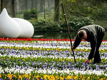 Die Fr&uuml;hjahrsblumenausstellung im Keukenhof ist einer der beliebtesten Touristen-Attraktionen in den Niederlanden. Ein Problem ist jedoch, dass die Touristen einfach in die Blumenbeete hineinsteigen. Foto: Robin Van Lonkhuijsen/ANP/dpa