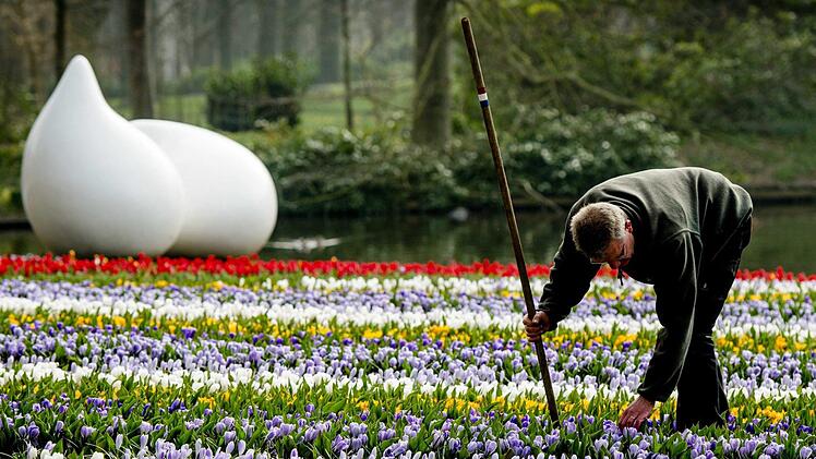 Die Fr&uuml;hjahrsblumenausstellung im Keukenhof ist einer der beliebtesten Touristen-Attraktionen in den Niederlanden. Ein Problem ist jedoch, dass die Touristen einfach in die Blumenbeete hineinsteigen. Foto: Robin Van Lonkhuijsen/ANP/dpa