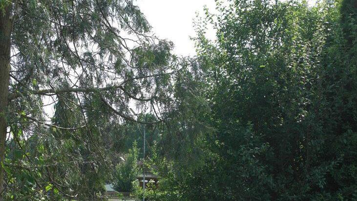 Von der Königsberger Straße floss dass Wasser unkontrolliert über dieses unbebaute Grundstück auf das Kastner-Anwesen.