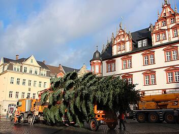 Ein ganz besonderer Schwertransport traf am Montagvormittag  auf dem Coburger Marktplatz ein: der diesjährige Weihnachtsbaum!Foto: Oliver Schmidt