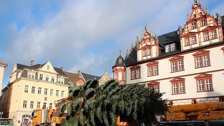 Ein ganz besonderer Schwertransport traf am Montagvormittag  auf dem Coburger Marktplatz ein: der diesjährige Weihnachtsbaum!Foto: Oliver Schmidt