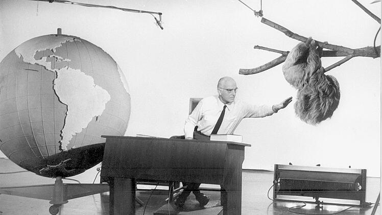 Vorsicht Faultier! Nur Zoodirektor Prof. Dr. Bernhard Grzimek darf es wagen, in die N&auml;he der beiden Zehenfaultiere zu kommen, die er aus dem Frankfurter Zoo ins Fernsehstudio mitgebracht hat.