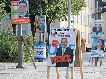 Im September steht die Bundestagswahl an. In Lichtenfels dürfen die Parteien in der Zeit so viele Plakate aufstellen, wie sie für nötig halten. Foto: Miriam Hegner