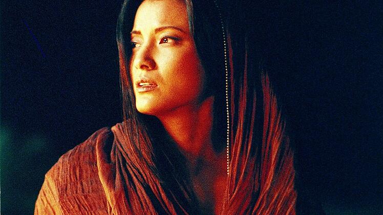Die sch&ouml;ne Zauberin Cassandra (Kelly Hu) dient dem b&ouml;sen Memnon.