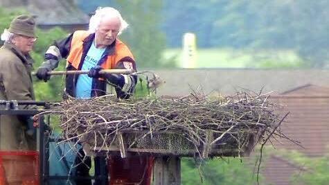 Jochen Willecke (links) und Winfried Kleinhenz tauschen das Nistmaterial aus. Foto: Webcam