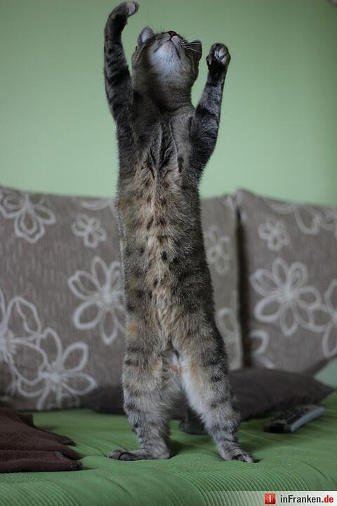 Foto: Stefanie Hufnagel