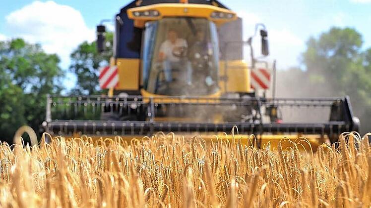 Trotz großer Maschinen und größerer Flächennutzung ist der Ernteertrag beim Sommerweizen geringer.  Foto: Uwe Anspach/dpa