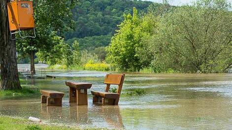 Der Main tritt über die Ufer: Die Grillflächen im Würzburger Stadtteil Zellerau stehen am Sonntag, 2. 6. 2013 unter Wasser. Foto: Tobias Köpplinger