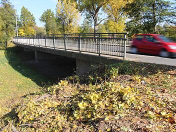 An der Flutbrücke (Bild) und an der Aischbrücke in Höchstadt wurden mehrere Bäume gefällt. Im Frühjahr beginnen die Bauarbeiten zur Erneuerung der Brücken. Als erstes mussten die "Fledermausbäume" weichen. Foto: Christian Bauriedel