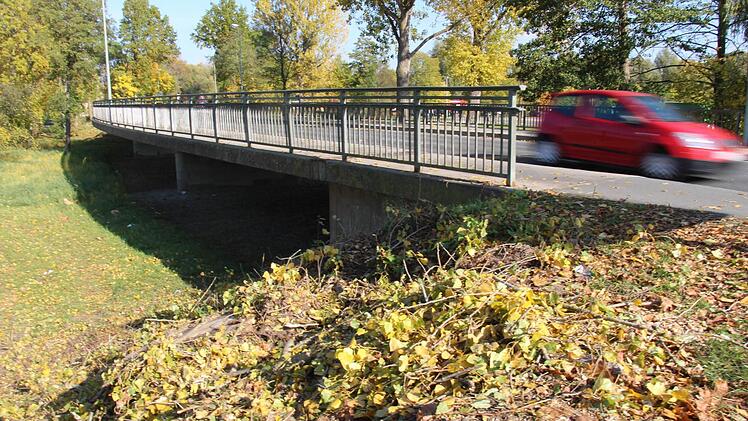 An der Flutbrücke (Bild) und an der Aischbrücke in Höchstadt wurden mehrere Bäume gefällt. Im Frühjahr beginnen die Bauarbeiten zur Erneuerung der Brücken. Als erstes mussten die "Fledermausbäume" weichen. Foto: Christian Bauriedel