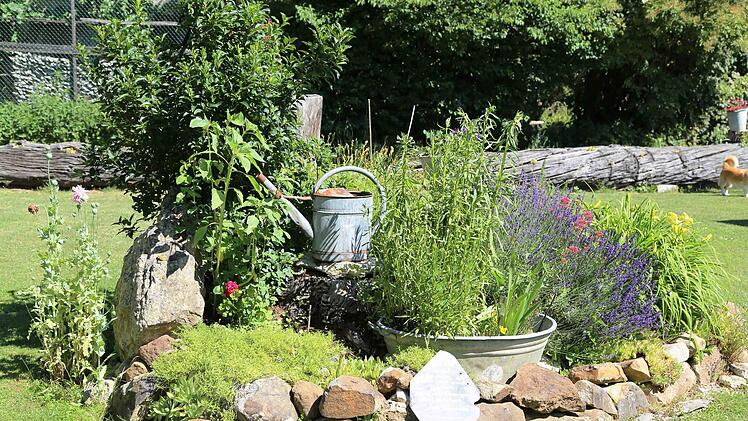 Krätervielfalt im Garten in Morschreuth Foto: Franz Galster