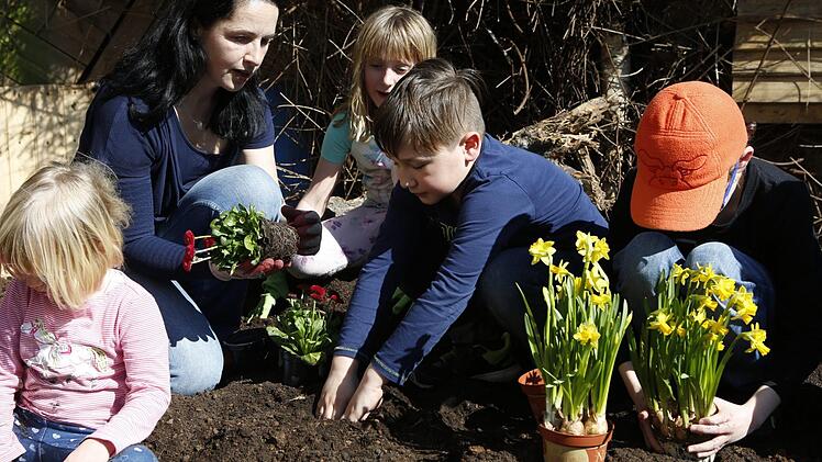 Blumen pflanzen mit BR-Redakteurin Dagmar Besand Foto: Matthias Hoch