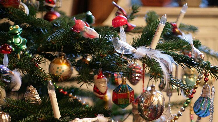 Unter dem Gewicht ihres Dekors biegen sich die Äste des Neupert'schen Weihnachtsbaums. Foto: Klaus Klaschka