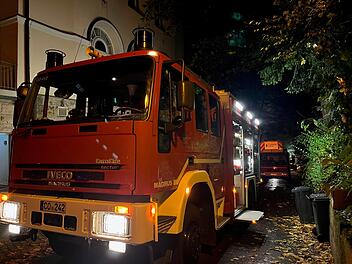 Coburg: Brand in Naturkundemuseum - mehrere Exponate fallen Flammen zum Opfer