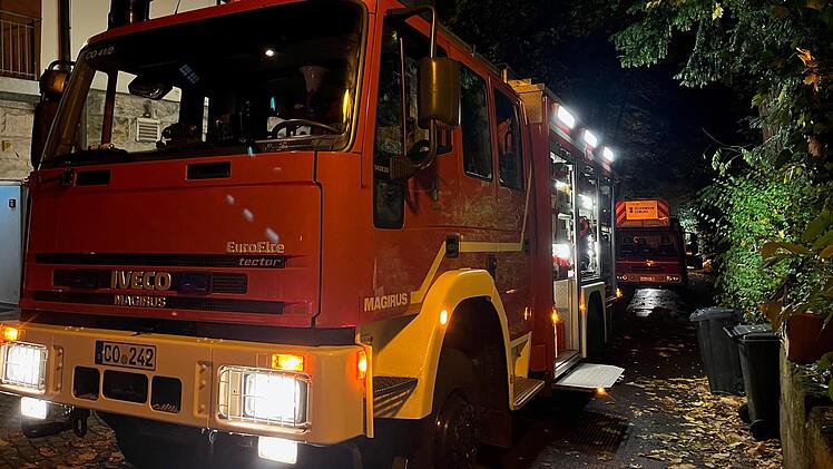 Coburg: Brand in Naturkundemuseum - mehrere Exponate fallen Flammen zum Opfer