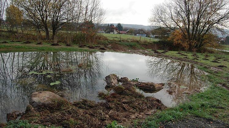 Die ehemalige Bullenwiese wurde als Ausgleichsfläche für die Gewerbegebiete ausgewiesen. Dort entstand ein Biotop.