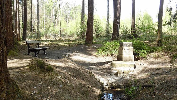 Der idyllische Rehbrunnen. Foto: Günter Reinlein