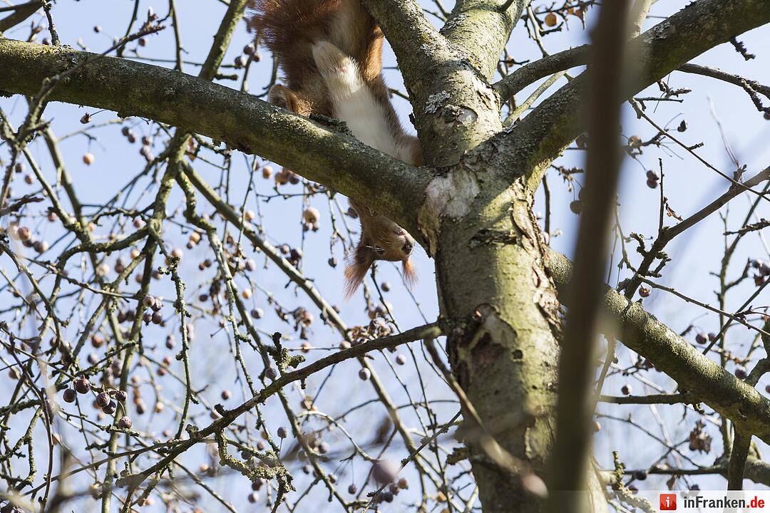 Frühlingsbeginn in Fürth