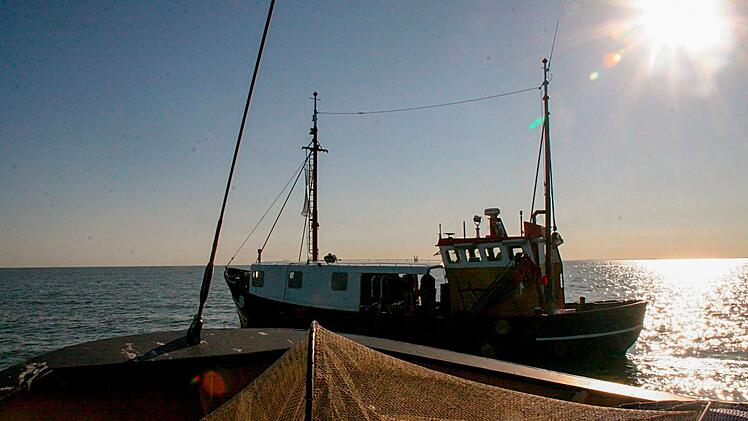 EU-Fangquoten setzen ihnen zu: die letzten Fischer von Volendam - unterwegs auf dem Jisselmeer.